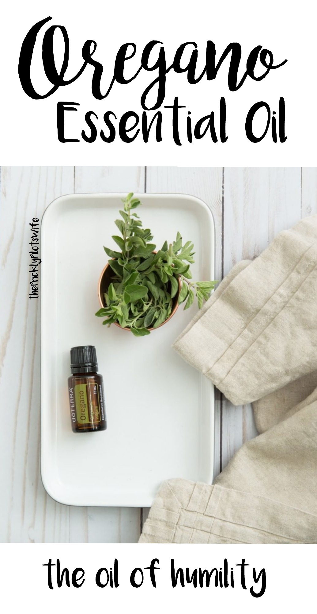 Oregano Essential Oil - Benefits & Uses