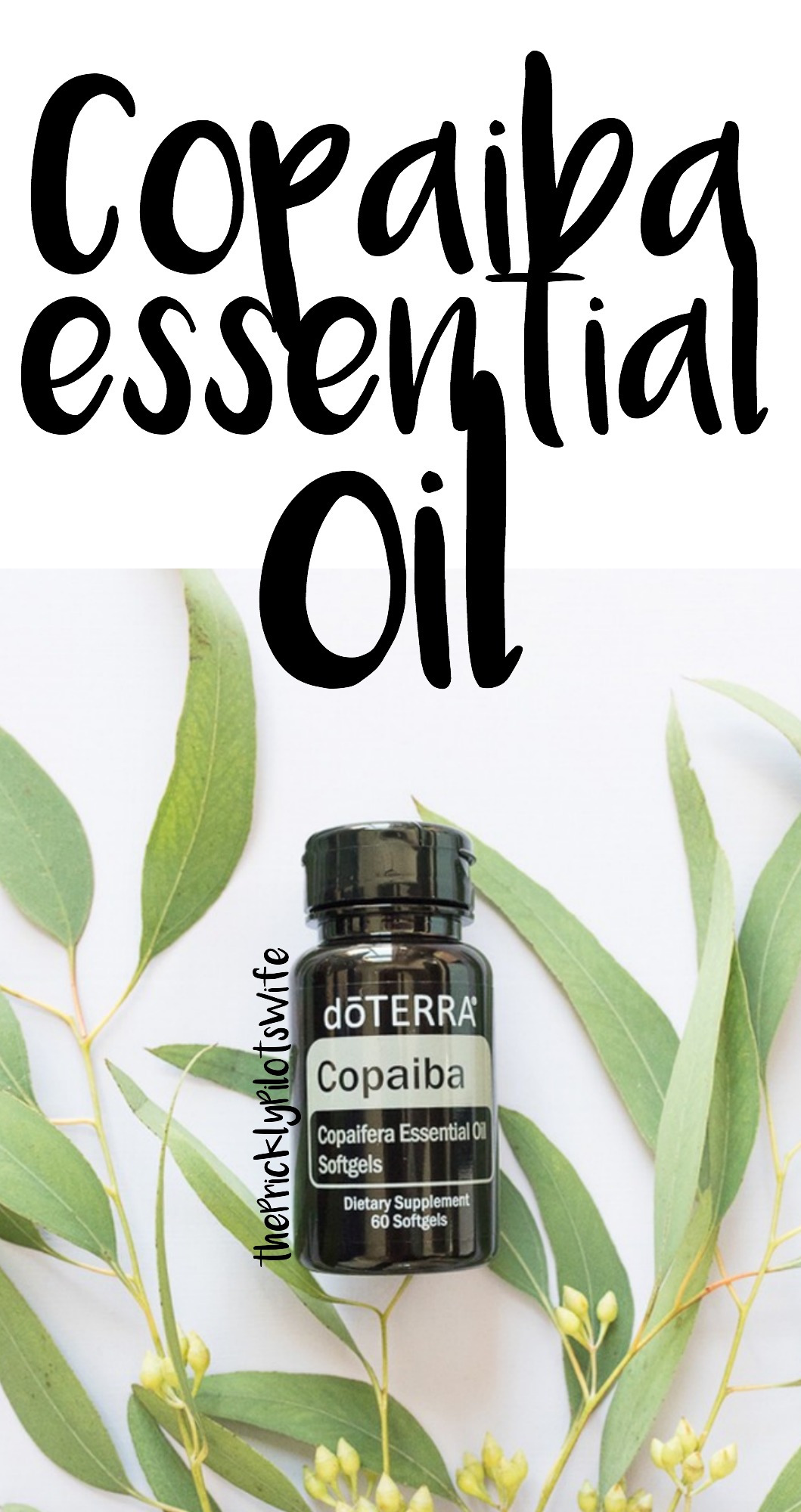 Copaiba Essential Oil - Why You NEED This Oil - Benefits And Uses